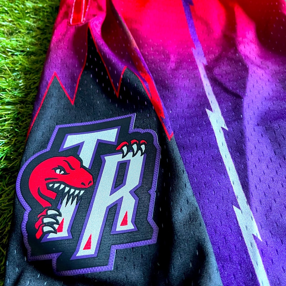 Mitchell & Ness Toronto Raptor Basketball Shorts
